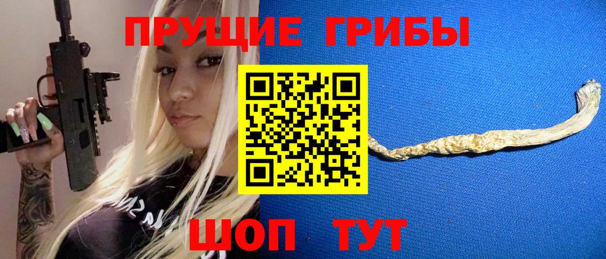Зима  Галлюциногенные грибы мицелий  Вход с VPN 